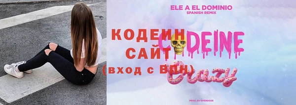 крисы Верхний Тагил