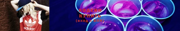 крисы Верхний Тагил
