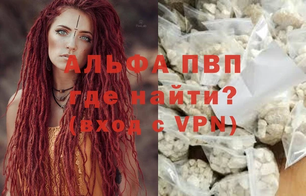 крисы Верхний Тагил