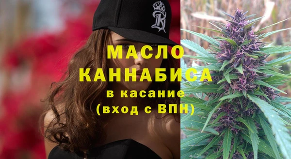 крисы Верхний Тагил