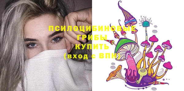 крисы Верхний Тагил