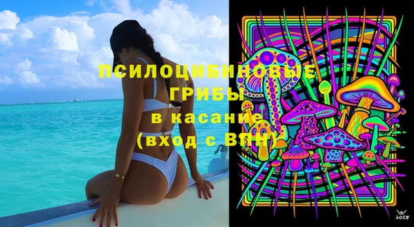 ГАЛЛЮЦИНОГЕННЫЕ ГРИБЫ Верхнеуральск