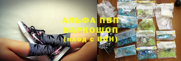 крисы Верхний Тагил
