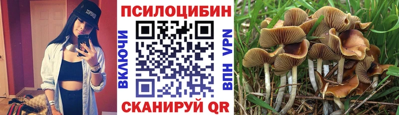 Галлюциногенные грибы MAGIC MUSHROOMS Стерлитамак