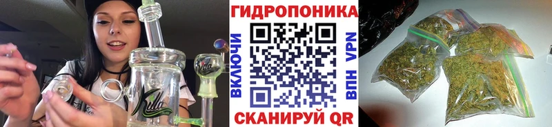 где найти наркотики Стерлитамак МАРИХУАНА OG Kush